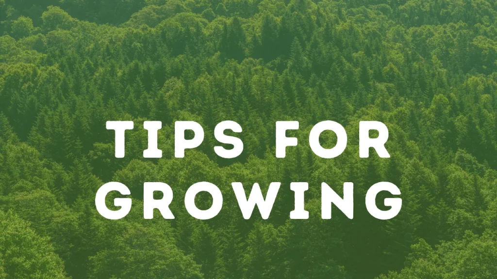 Tips for Growing