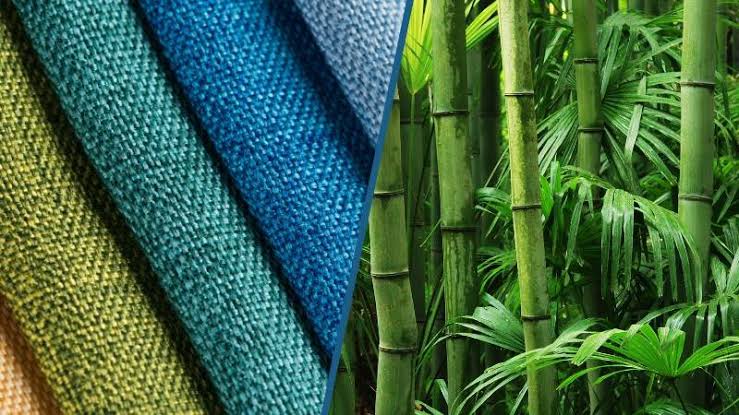 Reasons to Choose Bamboo Fabric Clothing for a Greener Wardrobe
