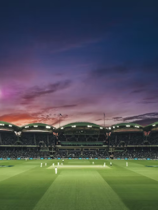 Regional Behaviors: How Cricket Differs Around the World