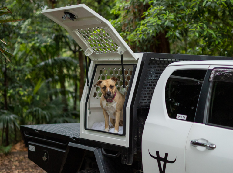 Best UTE Dog Boxes You Can Purchase