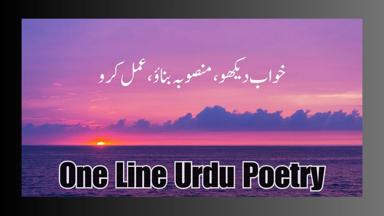 One Line Urdu Poetry