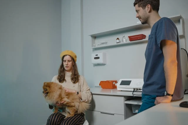 5 Reasons Pet Owners Trust Veterinary Hospitals With Critical Care