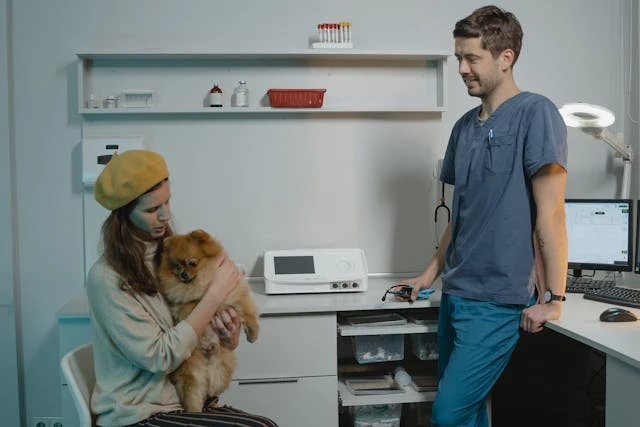 How Small Animal Hospitals Support Pet Wellness Year Round